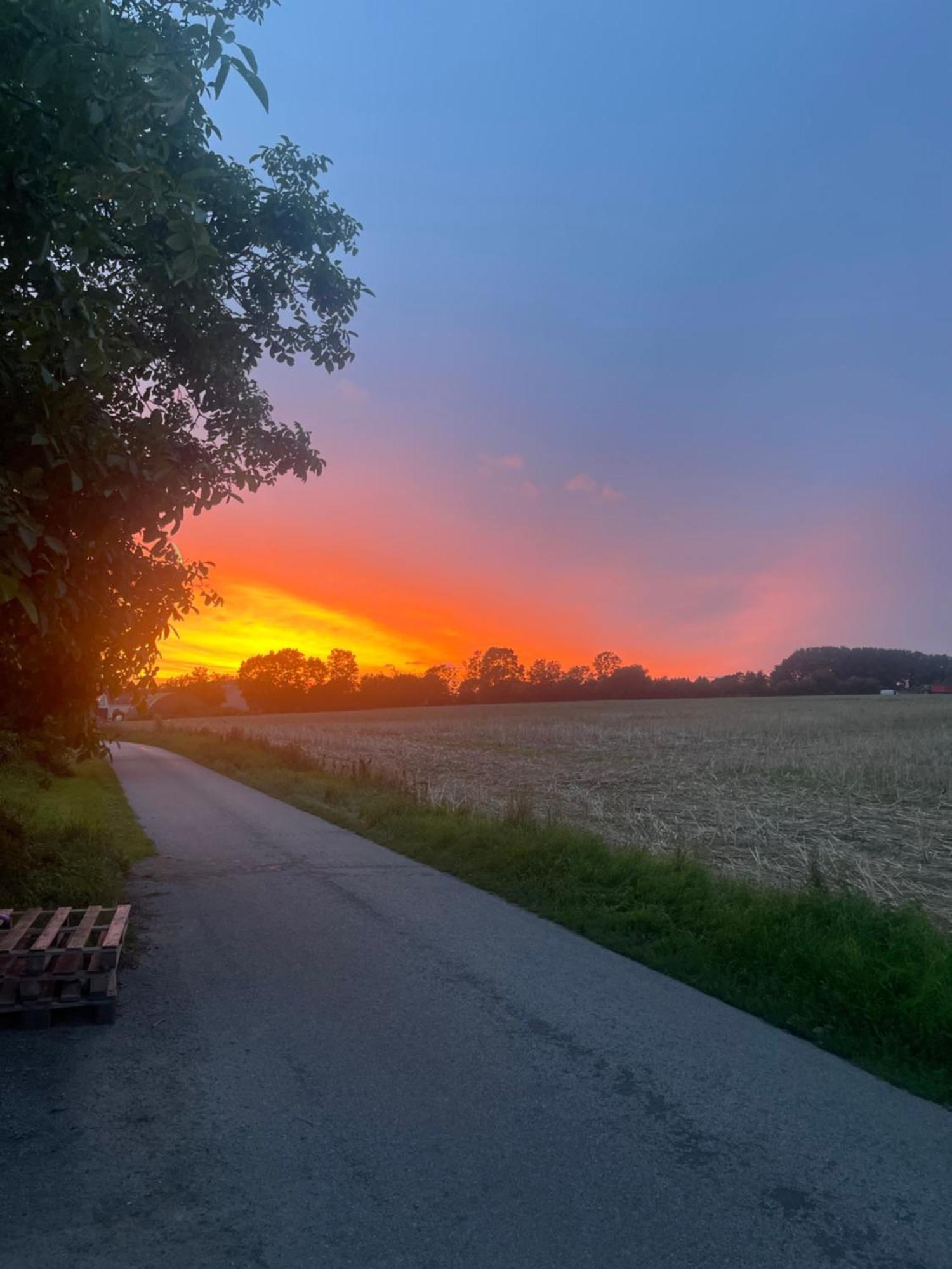 Blackberryhouse Ærøskøbing エクステリア 写真