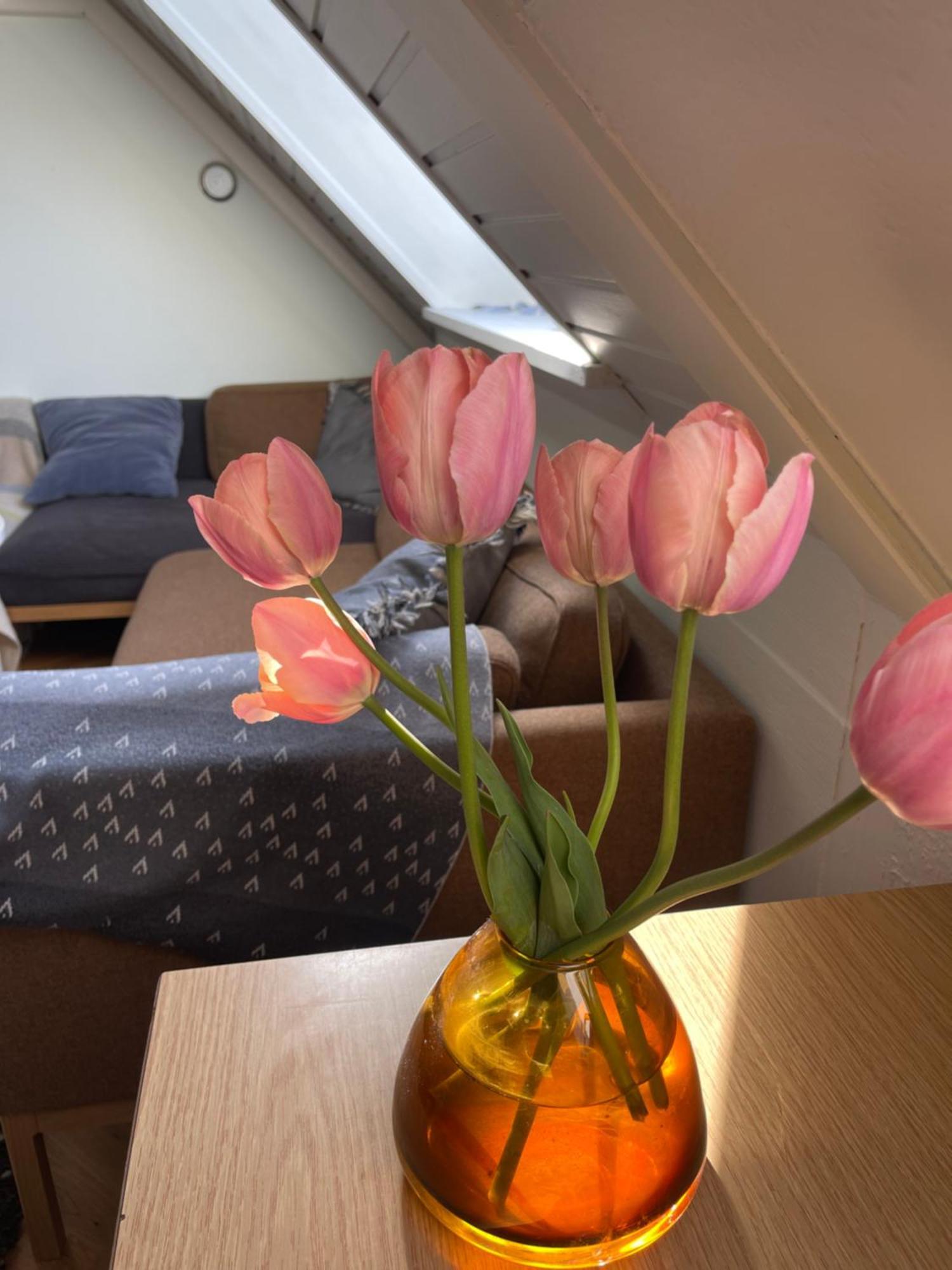 Blackberryhouse Ærøskøbing エクステリア 写真