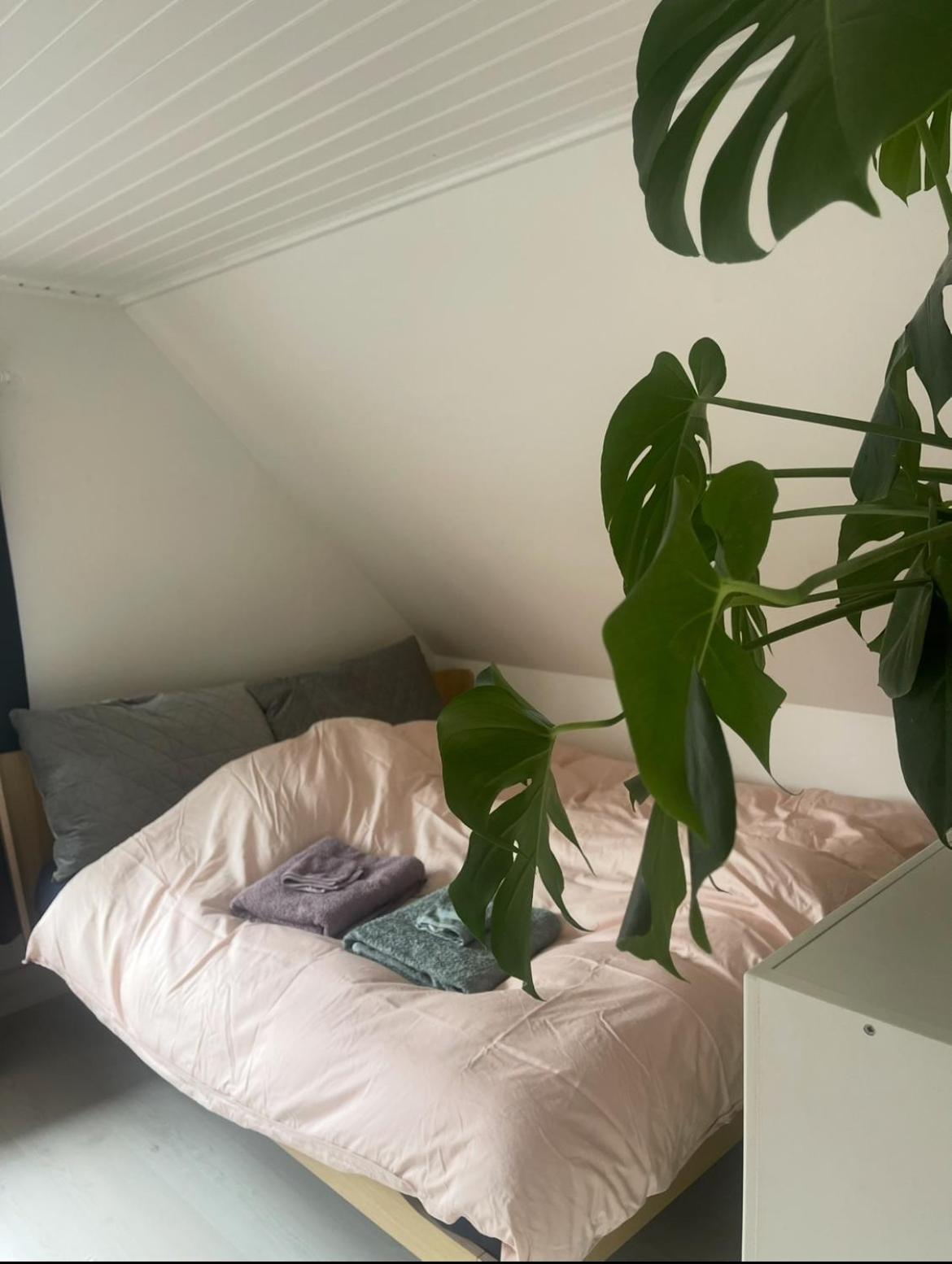 Blackberryhouse Ærøskøbing エクステリア 写真